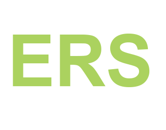 ers-auction.com